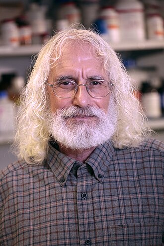 Philip D. Greenberg